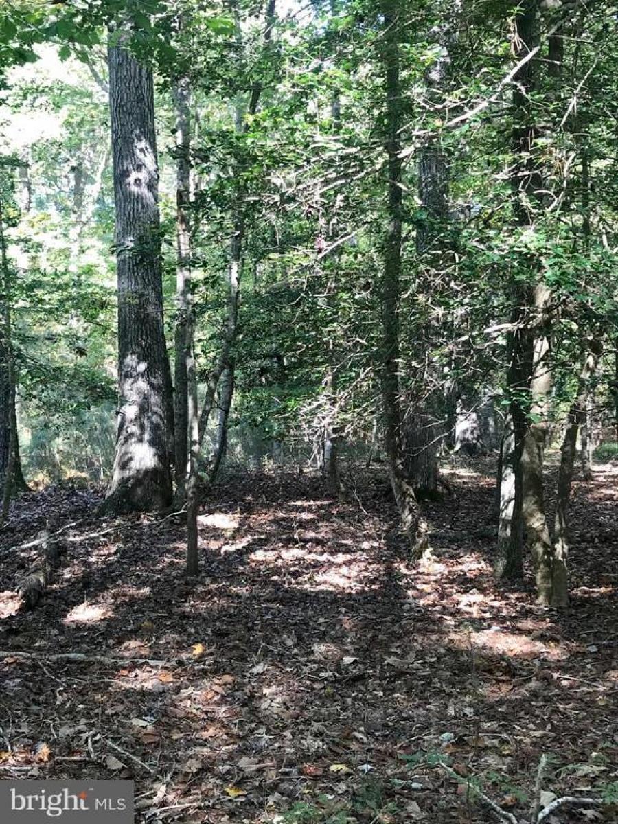 Montego Bay Realty 0 Croppers Island Rd