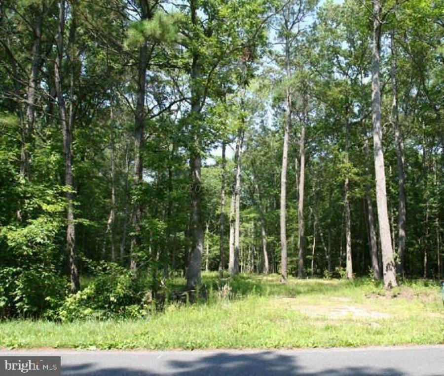 Montego Bay Realty 0 Croppers Island Rd